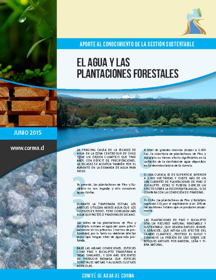 El agua y las plantaciones forestales