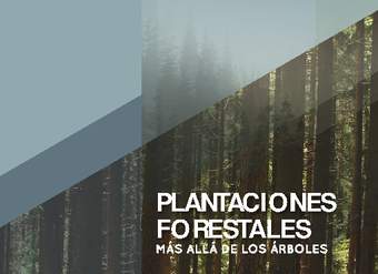 Plantaciones forestales. Más allá de los árboles