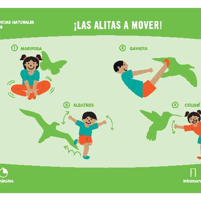 ¡Las alitas a mover!