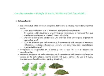 Ciencias Naturales 1 medio-Unidad 4-OA8-Actividad 1