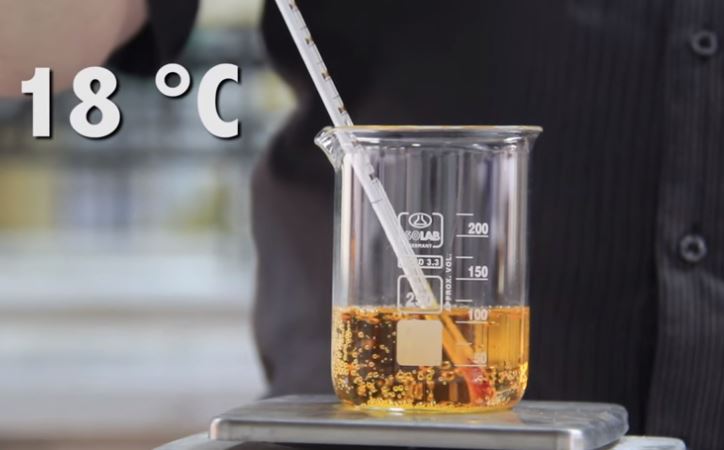 Efecto de la Temperatura en la Solubilidad de los Gases