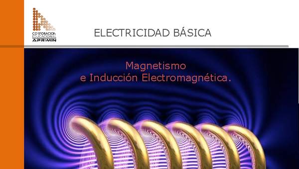 Presentación Magnetismo e inducción electromagnética