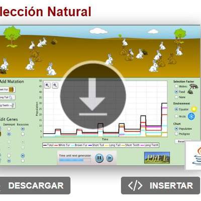 Selección Natural