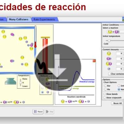 Velocidades de reacción