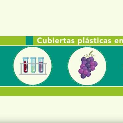 Tecnología de las cubiertas plásticas en vides