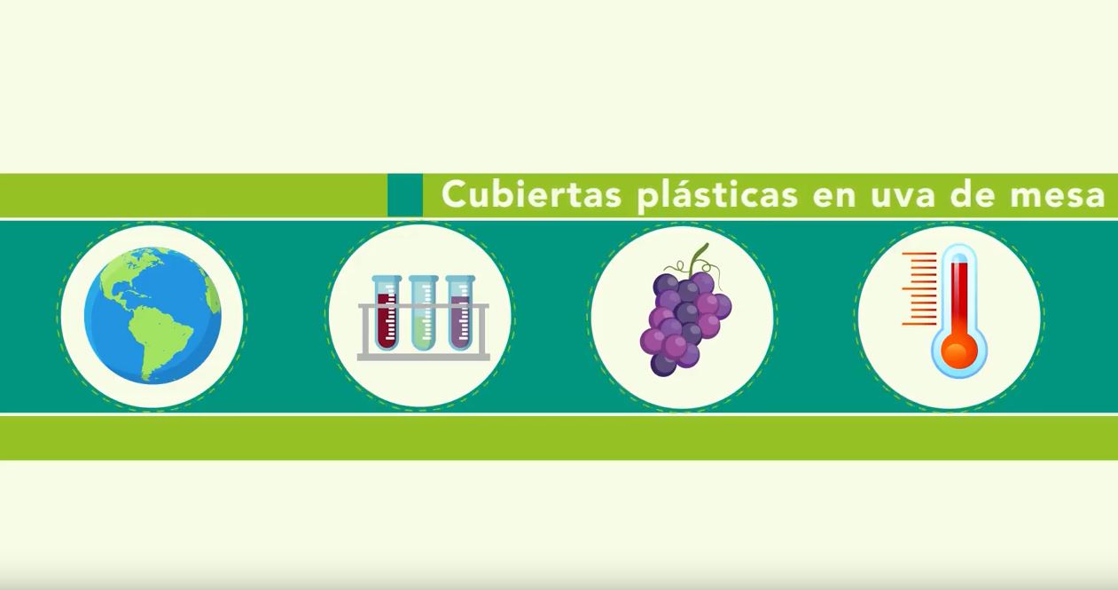 Tecnología de las cubiertas plásticas en vides