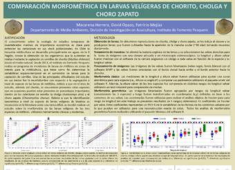 Comparación morfométrica en larvas velígeras de chorito, cholga y choro zapato