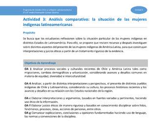 Actividad 3 - Análisis comparativo: la situación de las mujeres indígenas latinoamericanas