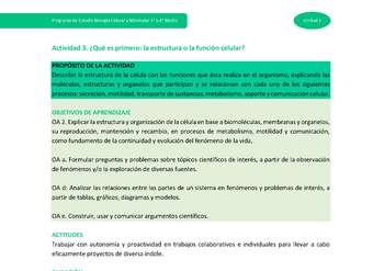 Actividad 3: ¿Qué es primero: la estructura o la función celular?