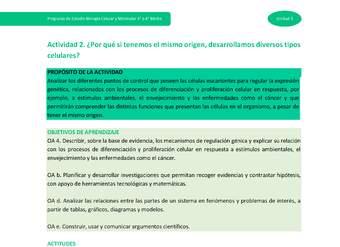 Actividad 2: ¿Por qué si tenemos el mismo origen, desarrollamos diversos tipos celulares?