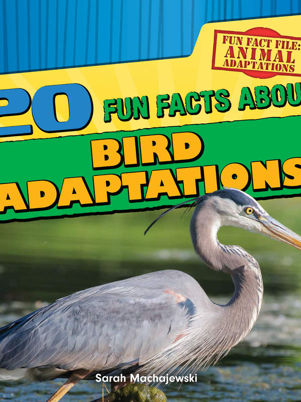 20 Fun Facts About Bird Adaptations