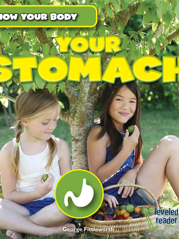 Your Stomach