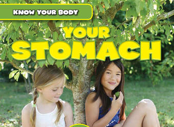 Your Stomach