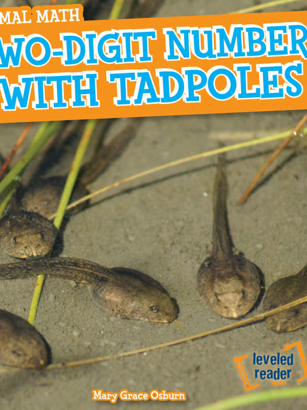 Two-Digit Numbers with Tadpoles