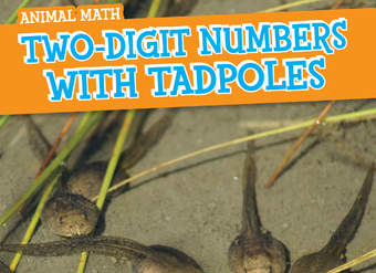 Two-Digit Numbers with Tadpoles