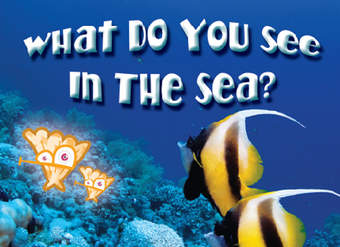 What Do You See in the Sea?