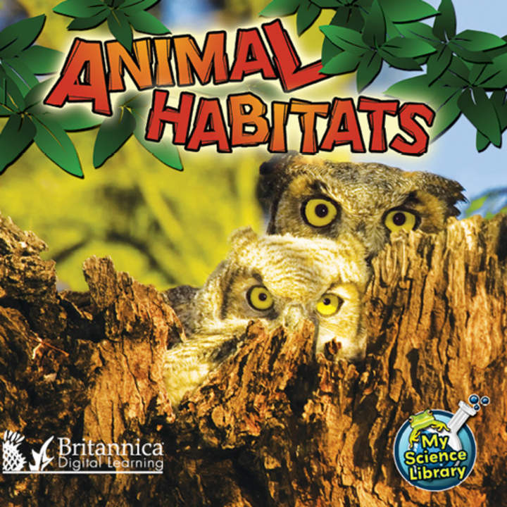 Animal Habitats