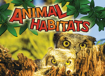 Animal Habitats