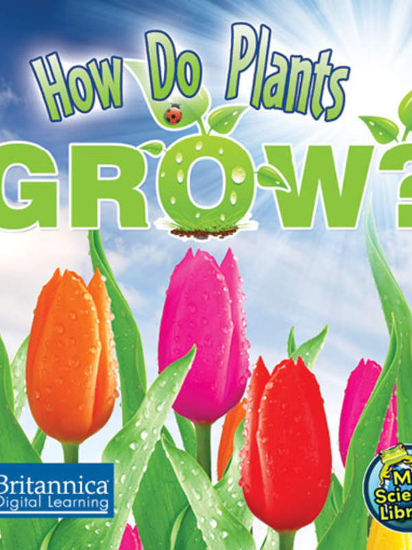 How Do Plants Grow?