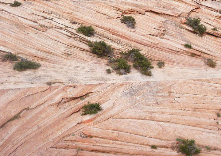 Litificación de rocas sedimentarias