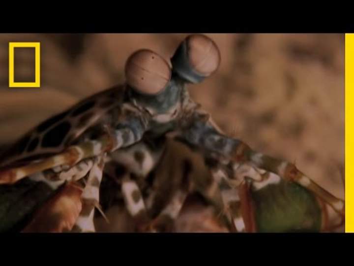 Explorando los océanos