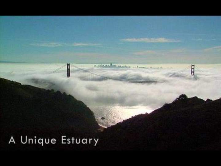 Salvar la bahía - Bahía de San Francisco: un estuario único