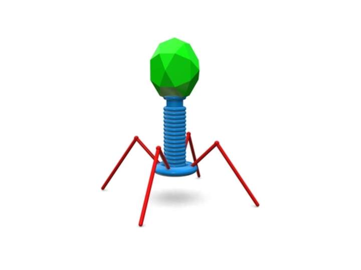 Virus - Avanzado