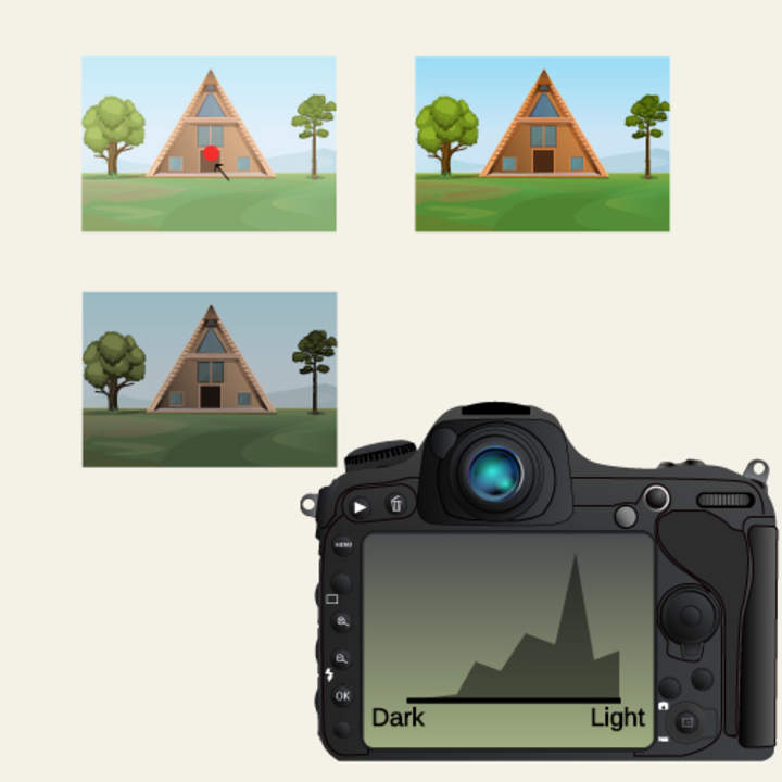 Gráficos e histogramas de tallo y hojas: fotografía digital