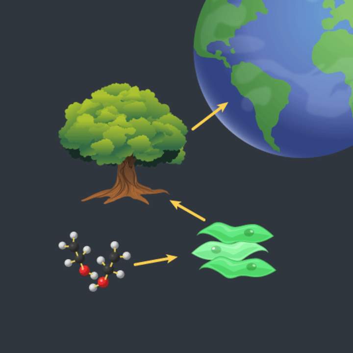 Niveles de organización en biología