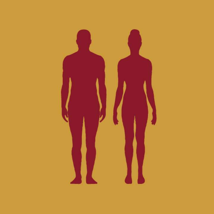Diferenciación sexual