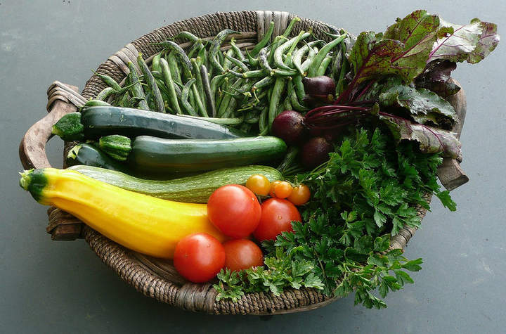 Alimentos y nutrientes