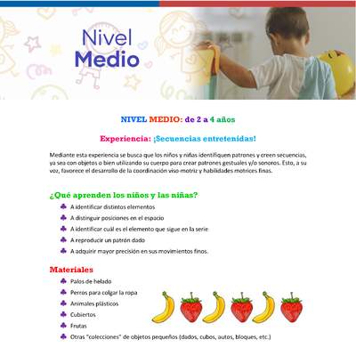 Experiencia educativa: Memorice