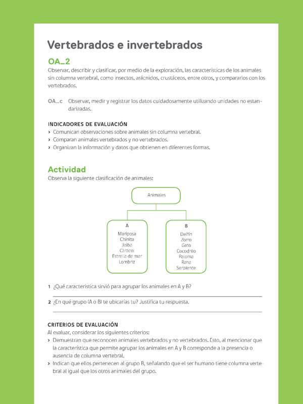 Ejemplo Evaluación Programas - OA02 - Vertebrados e invertebrados