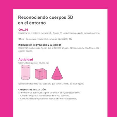 Ejemplo Evaluación Programas - OA14 - Reconociendo cuerpos 3D en el entorno