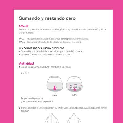 Ejemplo Evaluación Programas - OA08 - Sumando y restando cero