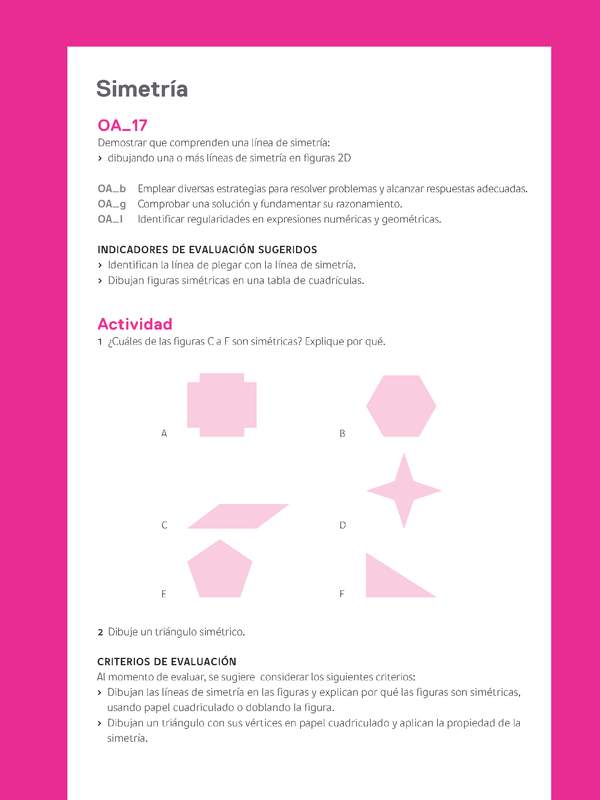 Evaluación Programas - MA04 OA17 - U3 - Simetría