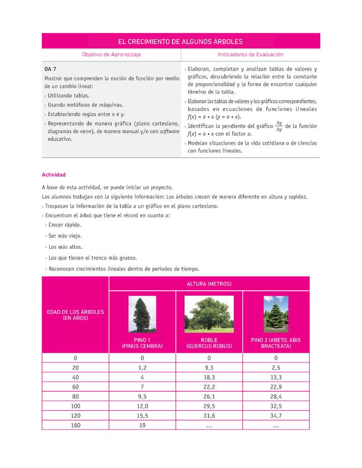 Evaluación Programas - MA08 OA07 - U2 - EL CRECIMIENTO DE ALGUNOS ÁRBOLES