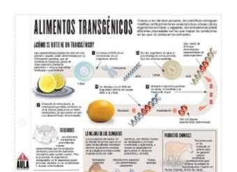 Infografía: Alimentos transgénicos