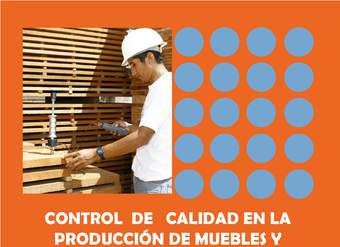 CITE Madera (2009). Control de calidad en la producción de muebles y carpintería en madera