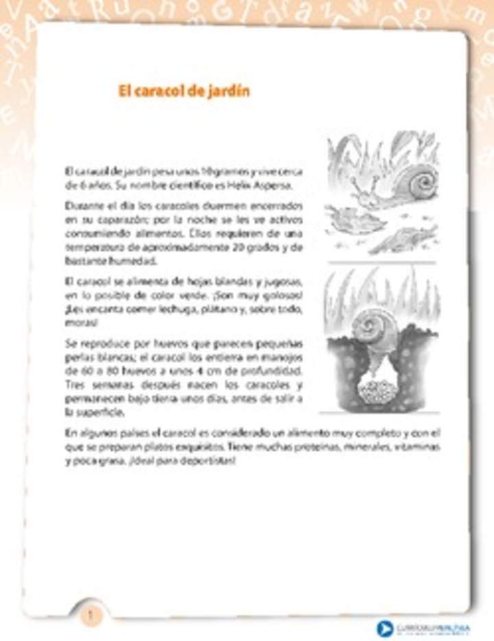 El caracol de jardín