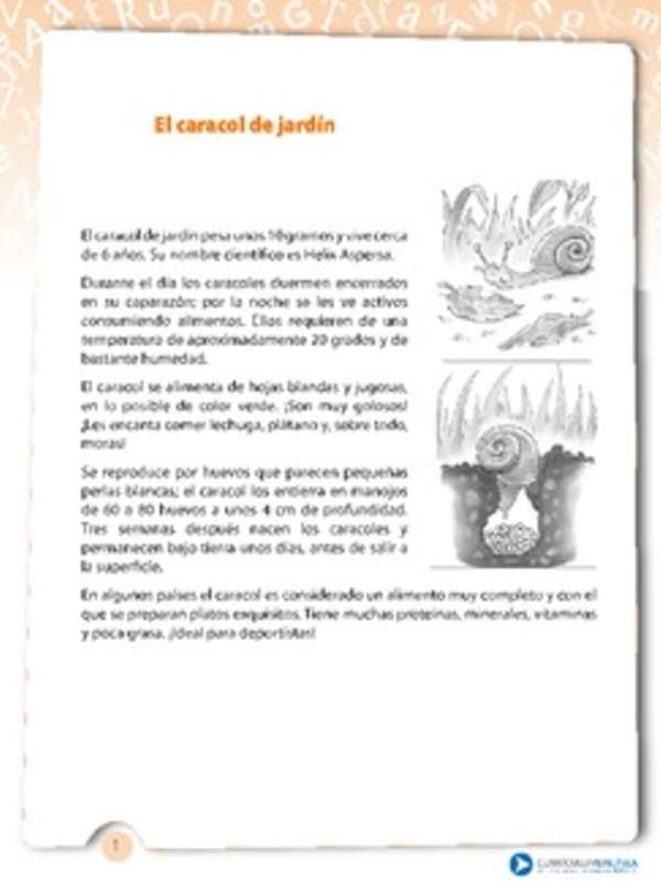 El caracol de jardín