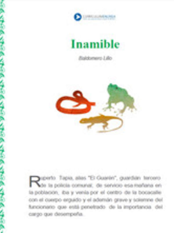 Inamible