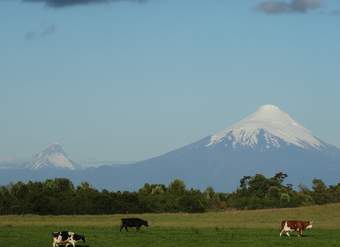 Volcan Osorno - https://pixabay.com/