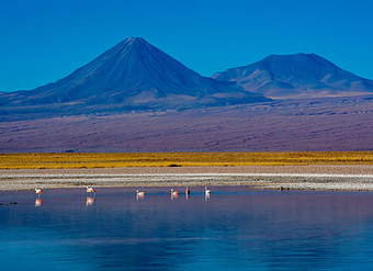 Laguna altiplánica Socaire