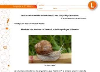 Mientras más lento es el caracol, más tiempo logra sobrevivir