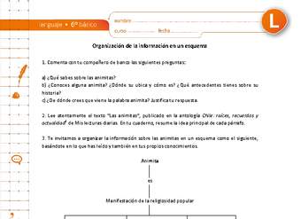 Organización de la información en un esquema