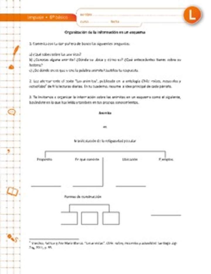 Organización de la información en un esquema