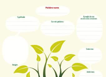 Esquema para aprender una palabra nueva