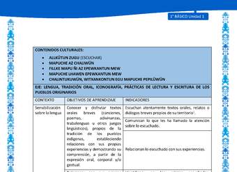 Actividad sugerida: LC01 - Mapuche - Matriz - U1