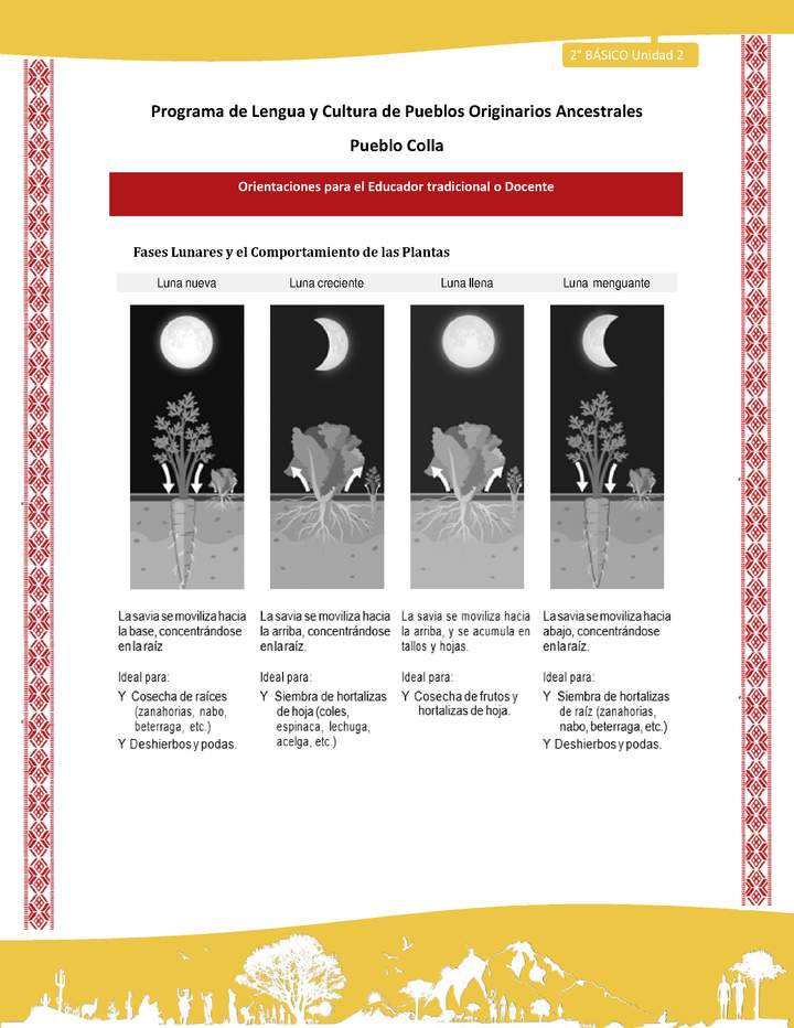 Orientaciones al docente - LC02 - Colla - U2 - Fases lunares y el comportamiento de las plantas